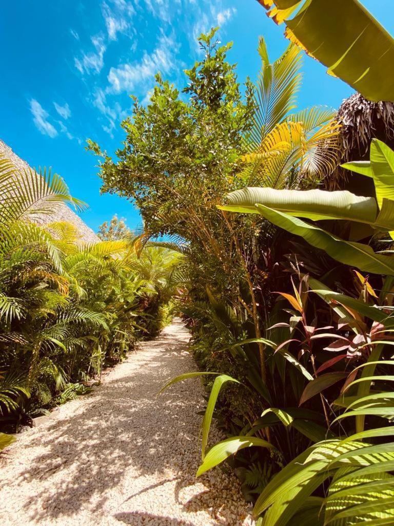 Villas Argan Playa Santa Teresa  Extérieur photo